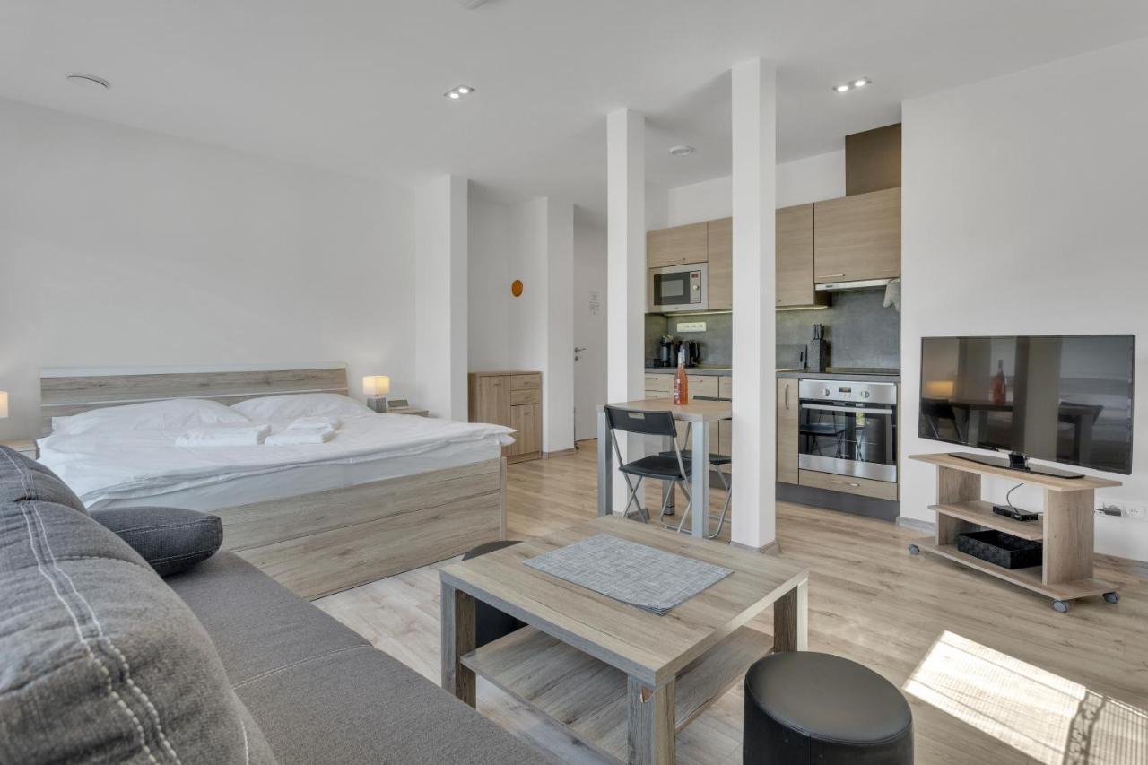 Family Apartments Klinovec Лоучна-под-Клиновцем Экстерьер фото