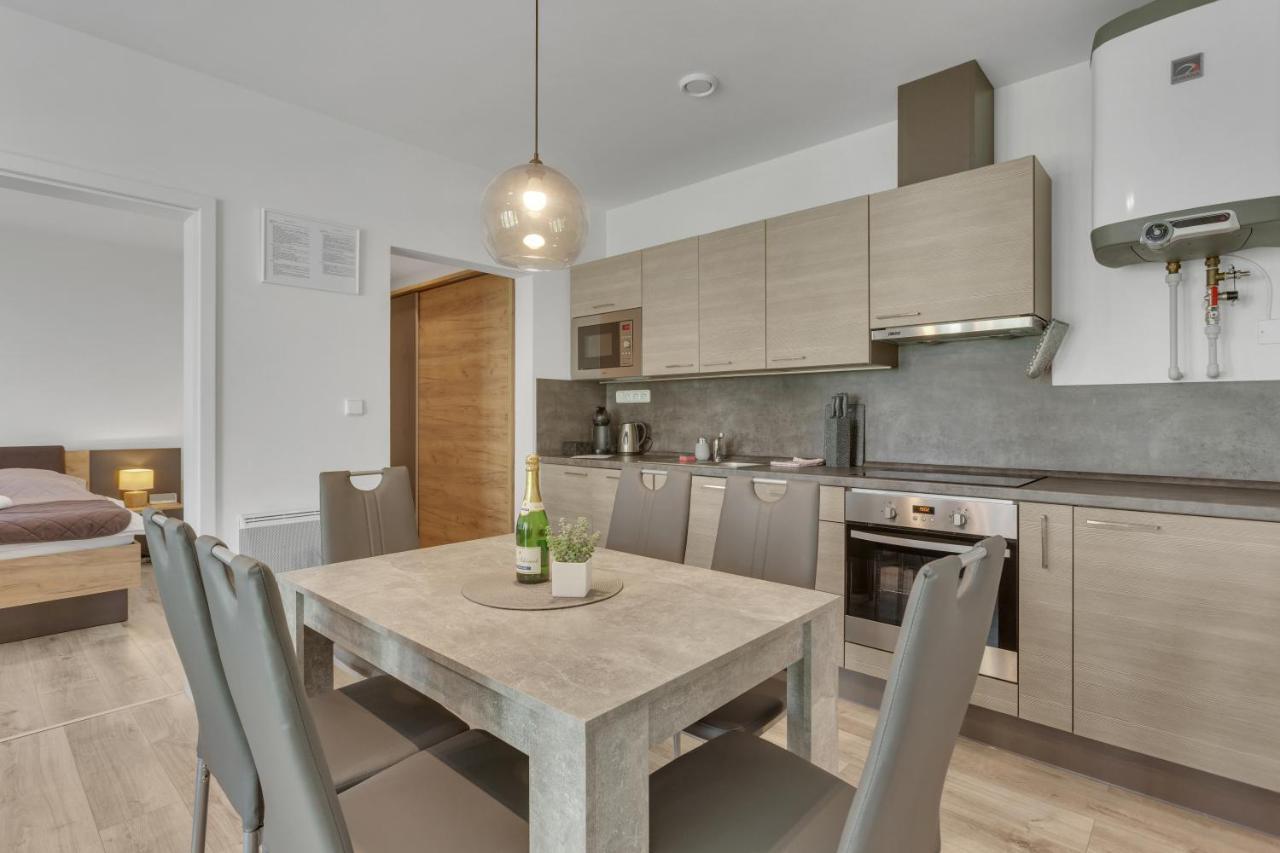 Family Apartments Klinovec Лоучна-под-Клиновцем Экстерьер фото